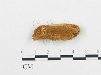 登錄號:F0016595藏品圖，第1張