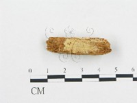 登錄號:F0016595藏品圖，第3張