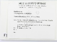 登錄號:F0016596藏品圖，第2張