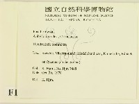登錄號:F0016597藏品圖，第2張