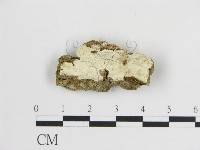 登錄號:F0016598藏品圖，第1張