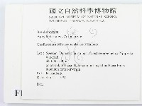 登錄號:F0016600藏品圖，第2張