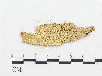 登錄號:F0016600藏品圖，第1張