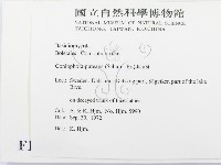 登錄號:F0016601藏品圖，第2張