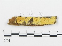 登錄號:F0016601藏品圖，第1張