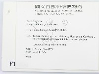 登錄號:F0016602藏品圖，第2張