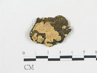登錄號:F0016602藏品圖，第1張