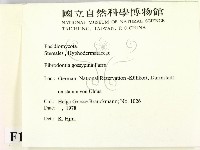 登錄號:F0016606藏品圖，第2張