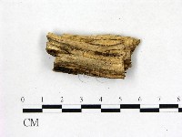 登錄號:F0016606藏品圖，第1張