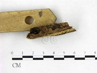 登錄號:F0016606藏品圖，第3張