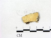 登錄號:F0016608藏品圖，第1張