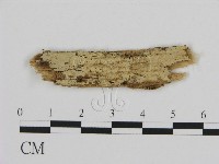 登錄號:F0016609藏品圖，第1張