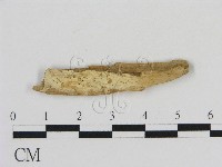 登錄號:F0016612藏品圖，第1張