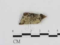 登錄號:F0016613藏品圖，第1張