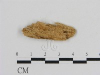 登錄號:F0016614藏品圖，第3張