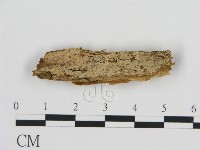 登錄號:F0016615藏品圖，第1張