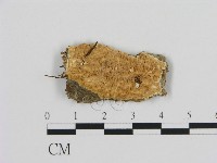 登錄號:F0016616藏品圖，第1張