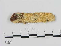登錄號:F0016617藏品圖，第1張