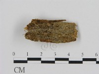 登錄號:F0016618藏品圖，第1張