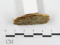 登錄號:F0016618藏品圖，第3張