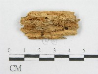 登錄號:F0016618藏品圖，第4張