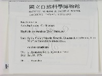 登錄號:F0016619藏品圖，第2張