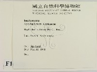 登錄號:F0016620藏品圖，第2張