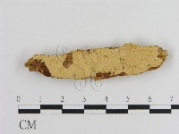 登錄號:F0016621藏品圖，第1張