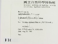 登錄號:F0016622藏品圖，第2張