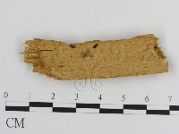 登錄號:F0016622藏品圖，第1張