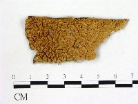 登錄號:F0016623藏品圖，第1張