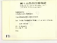 登錄號:F0016624藏品圖，第2張