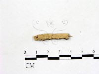 登錄號:F0016624藏品圖，第1張