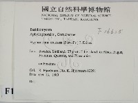 登錄號:F0016625藏品圖，第2張