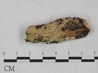 登錄號:F0016625藏品圖，第1張