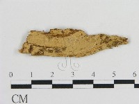 登錄號:F0016626藏品圖，第1張