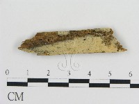 登錄號:F0016627藏品圖，第1張