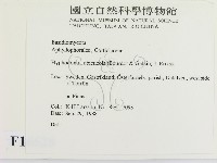 登錄號:F0016628藏品圖，第2張