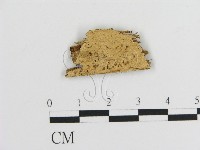 登錄號:F0016628藏品圖，第1張