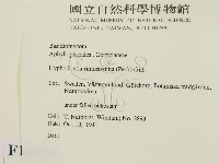 登錄號:F0016629藏品圖，第2張