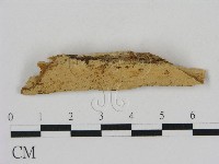 登錄號:F0016629藏品圖，第1張