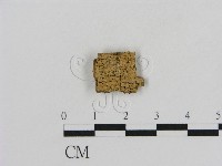 登錄號:F0016631藏品圖，第1張