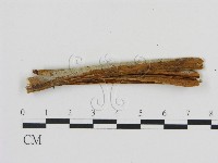 登錄號:F0016636藏品圖，第1張