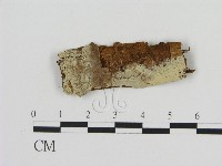 登錄號:F0016638藏品圖，第1張