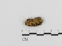 登錄號:F0016641藏品圖，第1張