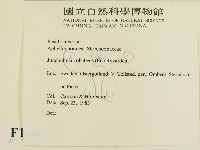 登錄號:F0016643藏品圖，第2張