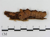 登錄號:F0016643藏品圖，第1張