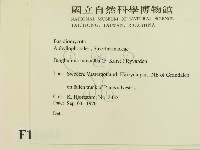 登錄號:F0016644藏品圖，第2張