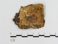 登錄號:F0016644藏品圖，第1張
