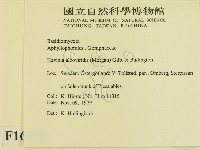 登錄號:F0016646藏品圖，第2張